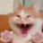 linlinhcom